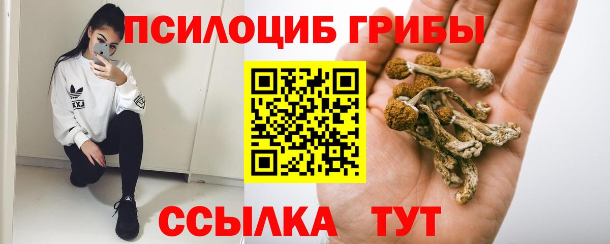 Галлюциногенные грибы GOLDEN TEACHER  Вход с VPN  Псилоцибиновые грибы Magic Shrooms  Крымск 